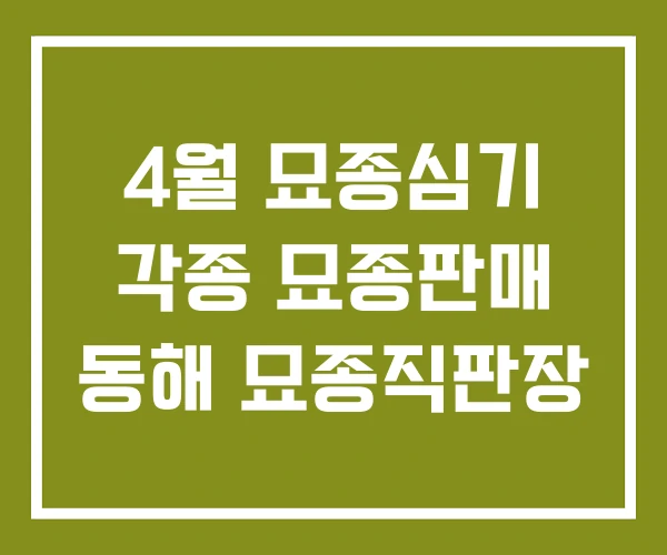 4월 묘종심기 각종 묘종판매 동해 묘종직판장