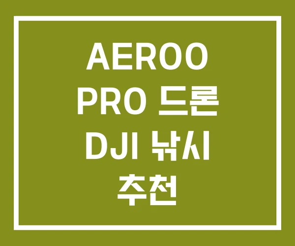 AEROO PRO 드론 DJI 낚시 추천