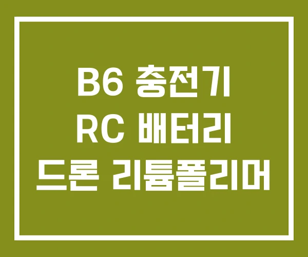 B6 충전기 RC 배터리 드론 리튬폴리머 B6 충전기 RC 배터리 드론 리튬폴리머