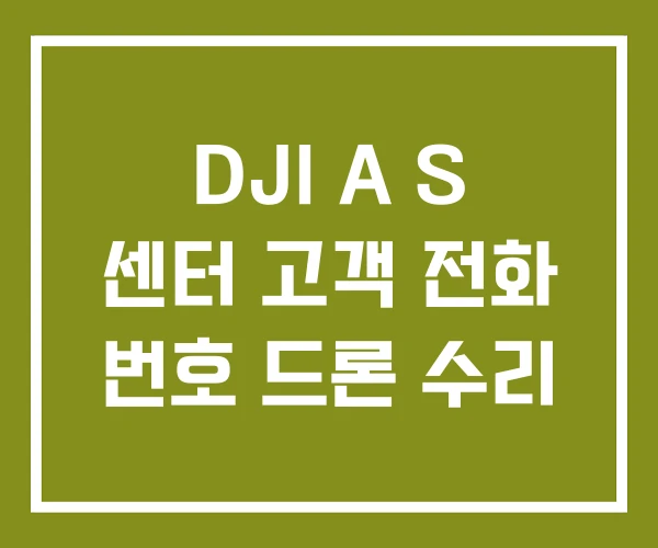 DJI A S 센터 고객 전화 번호 드론 수리 DJI A S 센터 고객 전화 번호 드론 수리