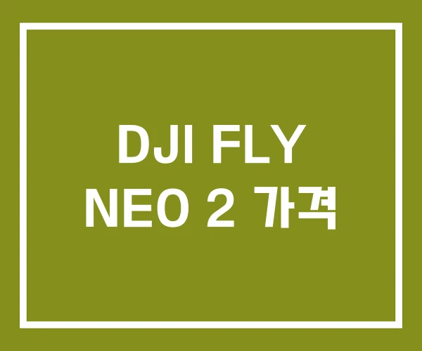 DJI FLY NEO 2 가격 DJI FLY NEO 2 가격