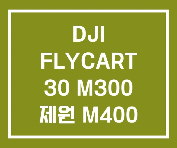 DJI FLYCART 30 M300 제원 M400 RTK