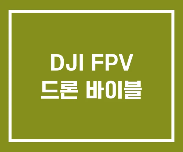 DJI FPV 드론 바이블