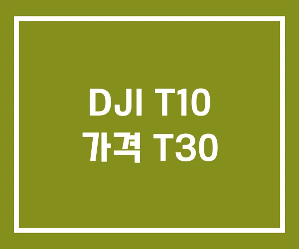 DJI T10 가격 T30