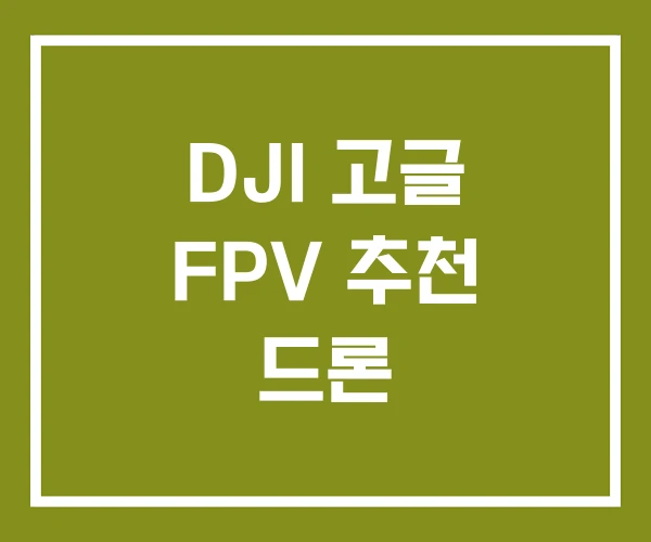 DJI 고글 FPV 추천 드론