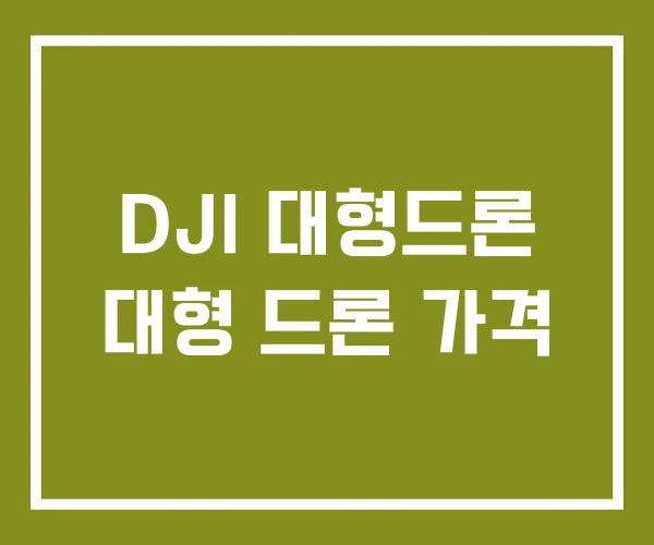 DJI 대형드론 대형 드론 가격