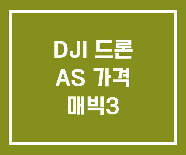 DJI 드론 AS 가격 매빅3