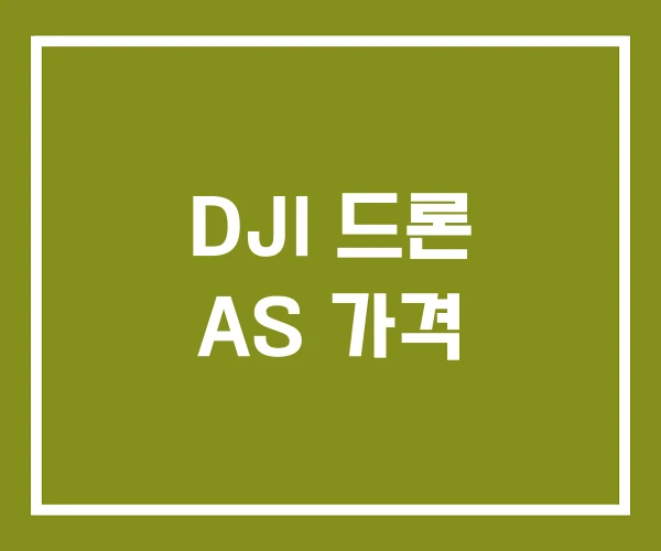 DJI 드론 AS 가격 DJI 드론 AS 가격