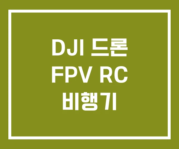 DJI 드론 FPV RC 비행기