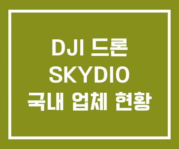 DJI 드론 SKYDIO 국내 업체 현황 DJI 드론 SKYDIO 국내 업체 현황