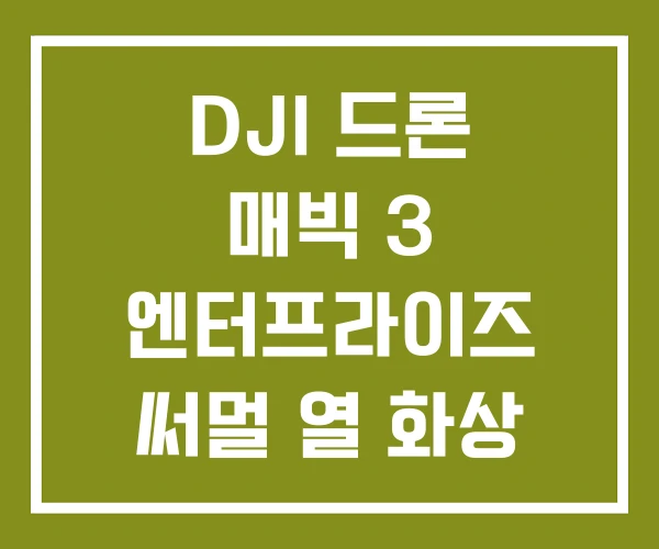 DJI 드론 매빅 3 엔터프라이즈 써멀 열 화상 카메라
