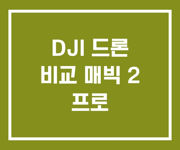 DJI 드론 비교 매빅 2 프로