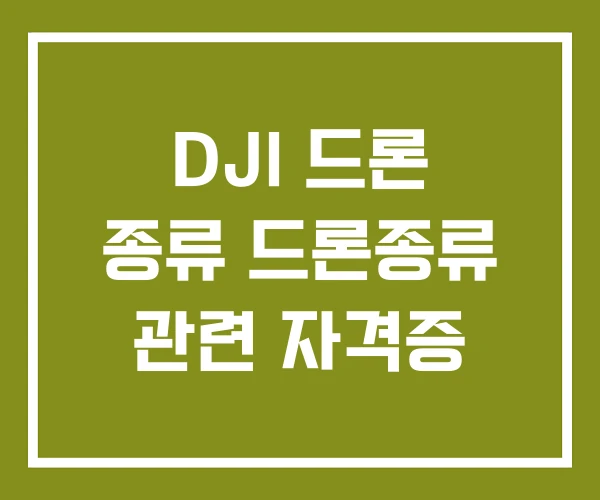 DJI 드론 종류 드론종류 관련 자격증