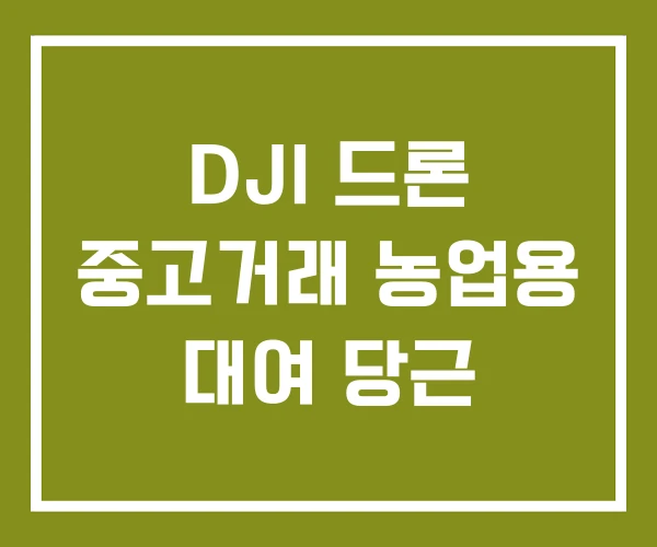 DJI 드론 중고거래 농업용 대여 당근