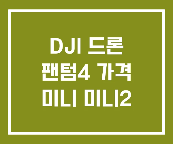 DJI 드론 팬텀4 가격 미니 미니2