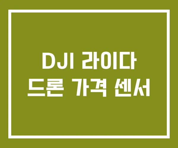 DJI 라이다 드론 가격 센서