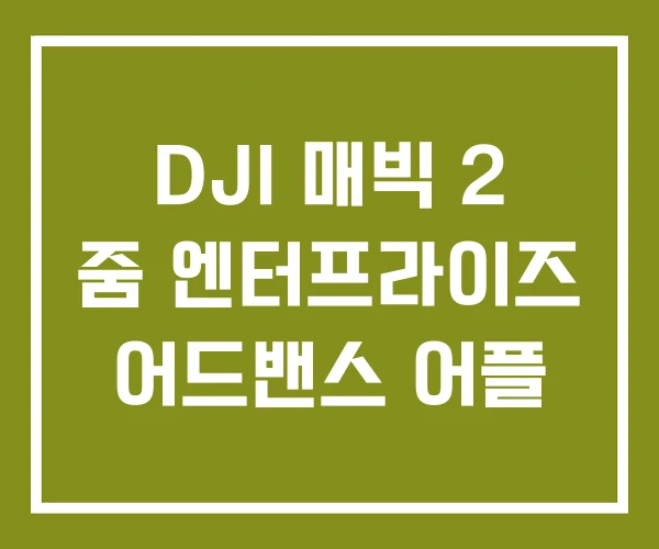 DJI 매빅 2 줌 엔터프라이즈 어드밴스 어플