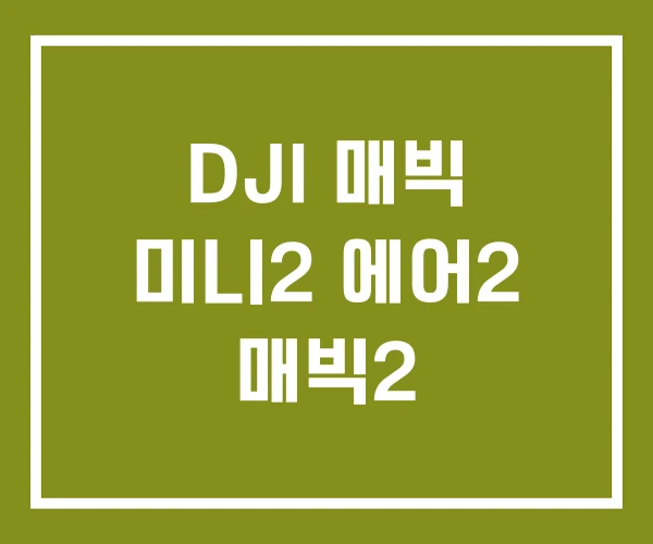 DJI 매빅 미니2 에어2 매빅2
