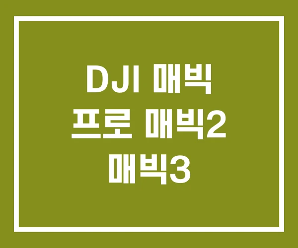DJI 매빅 프로 매빅2 매빅3