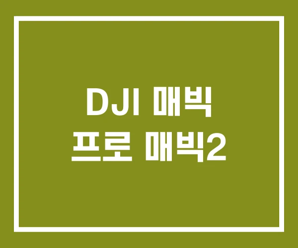 DJI 매빅 프로 매빅2