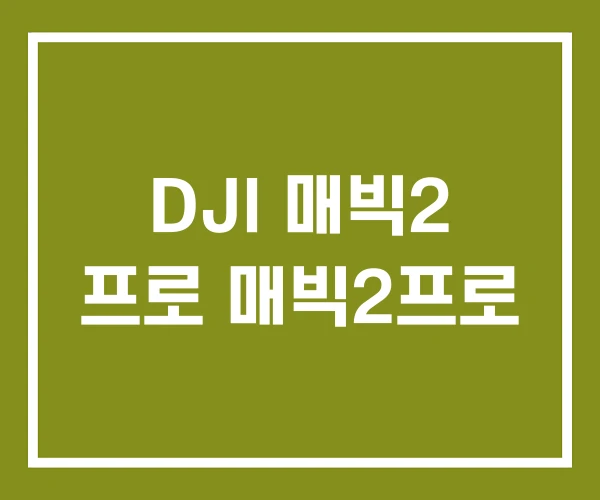 DJI 매빅2 프로 매빅2프로