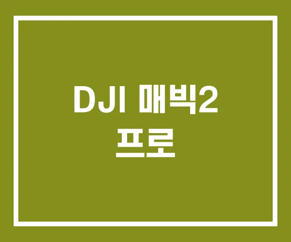 DJI 매빅2 프로
