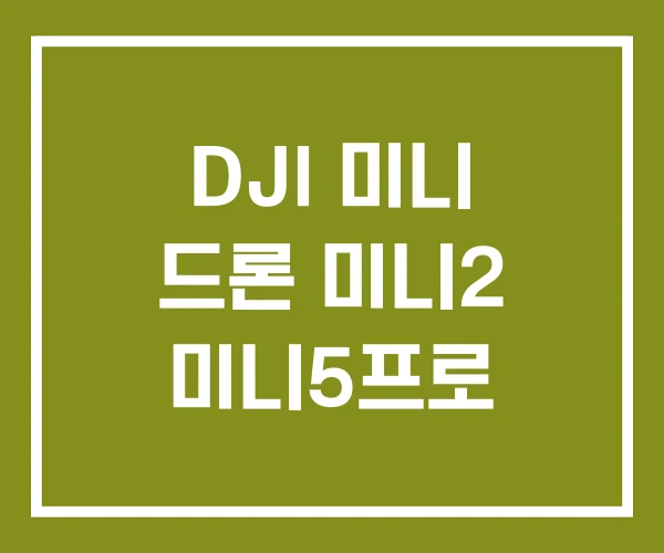 DJI 미니 드론 미니2 미니5프로