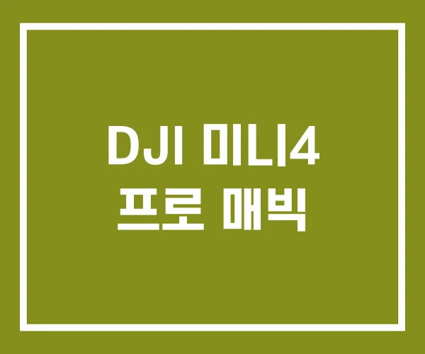 DJI 미니4 프로 매빅