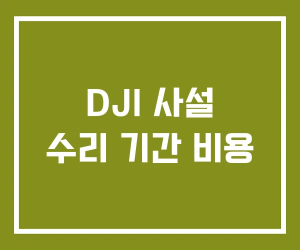 DJI 사설 수리 기간 비용