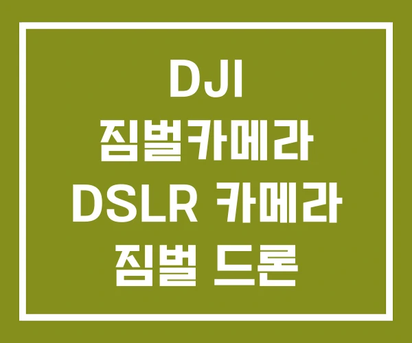 DJI 짐벌카메라 DSLR 카메라 짐벌 드론