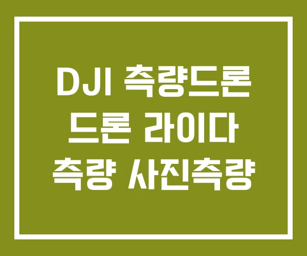 DJI 측량드론 드론 라이다 측량 사진측량