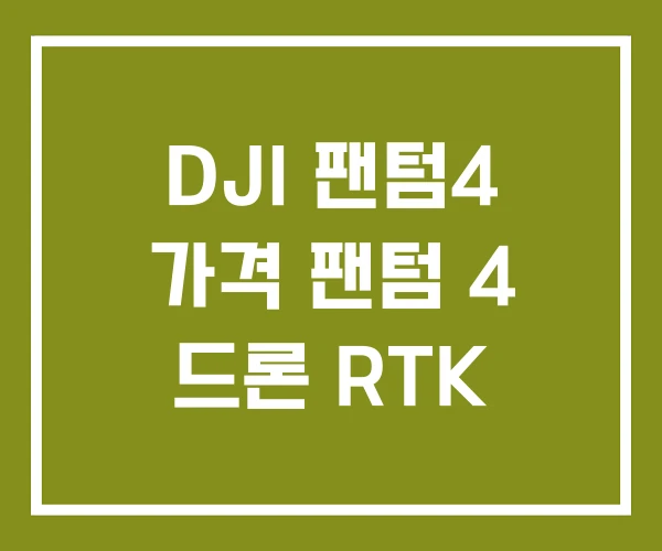 DJI 팬텀4 가격 팬텀 4 드론 RTK