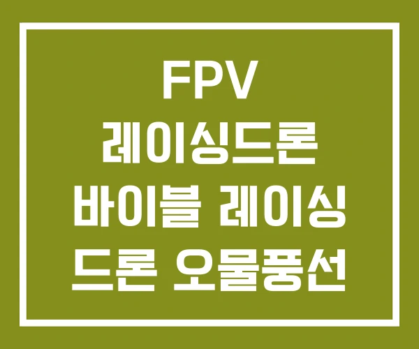 FPV 레이싱드론 바이블 레이싱 드론 오물풍선