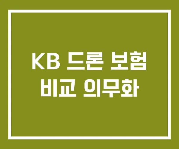 KB 드론 보험 비교 의무화