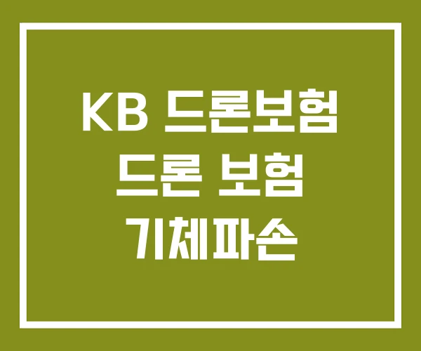 KB 드론보험 드론 보험 기체파손