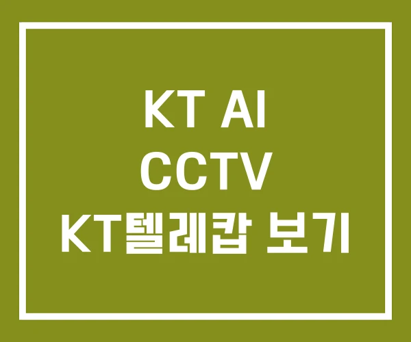 KT AI CCTV KT텔레캅 보기