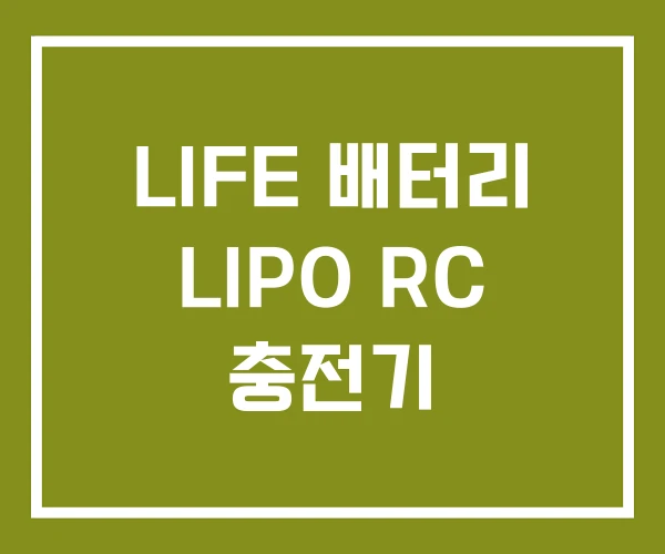 LIFE 배터리 LIPO RC 충전기