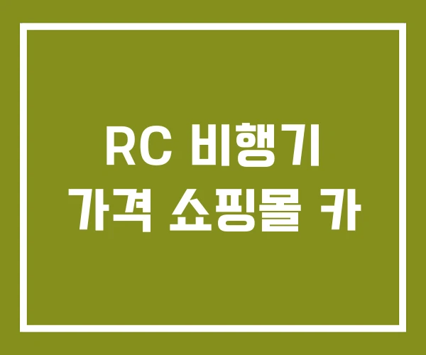 RC 비행기 가격 쇼핑몰 카 RC 비행기 가격 쇼핑몰 카