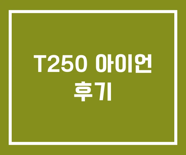 T250 아이언 후기
