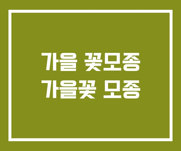 가을 꽃모종 가을꽃 모종