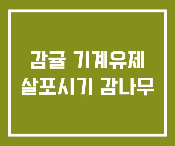 감귤 기계유제 살포시기 감나무