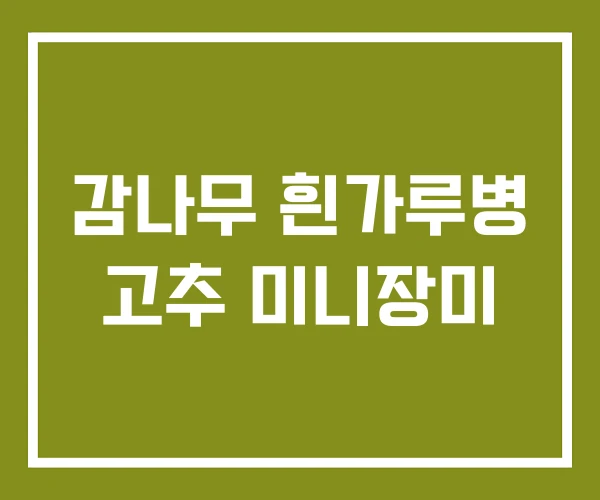 감나무 흰가루병 고추 미니장미