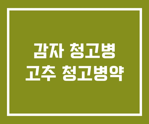 감자 청고병 고추 청고병약 감자 청고병 고추 청고병약