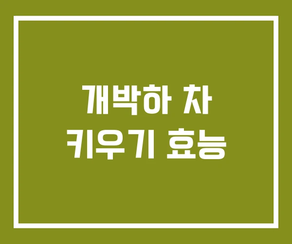 개박하 차 키우기 효능
