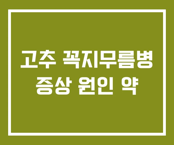 고추 꼭지무름병 증상 원인 약