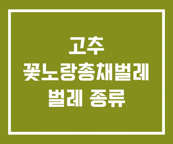 고추 꽃노랑총채벌레 벌레 종류