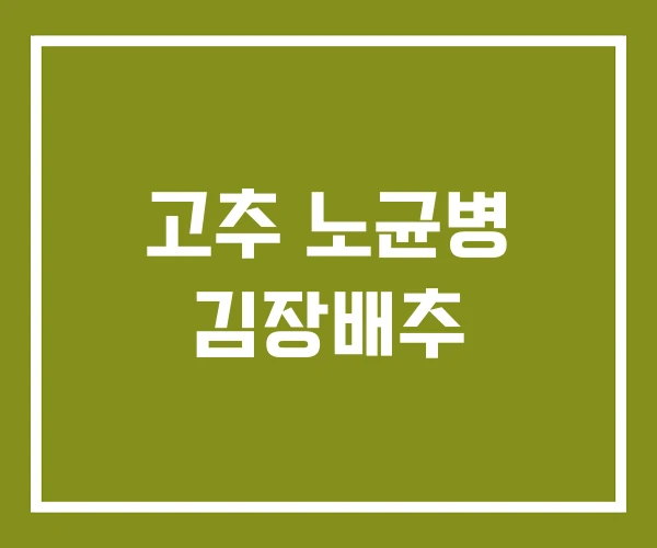고추 노균병 김장배추
