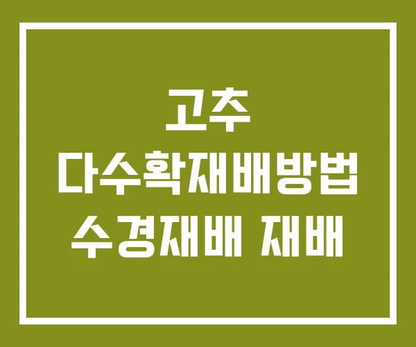 고추 다수확재배방법 수경재배 재배 고추 다수확재배방법 수경재배 재배