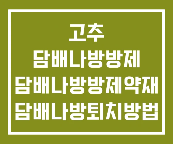 고추 담배나방방제 담배나방방제약재 담배나방퇴치방법