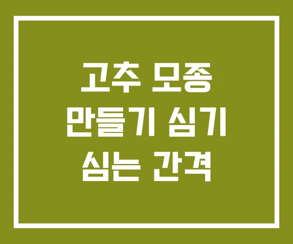 고추 모종 만들기 심기 심는 간격
